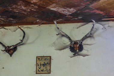 Bir hanın duvarında örümcek ağları ve kupalar