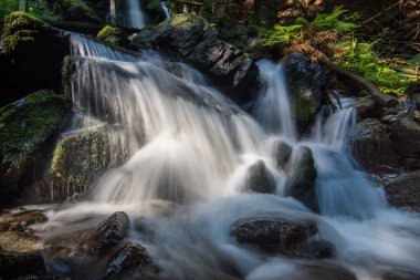 Yazın yürürken gölgeli ormanda kayalarla dolu yumuşak şelale.