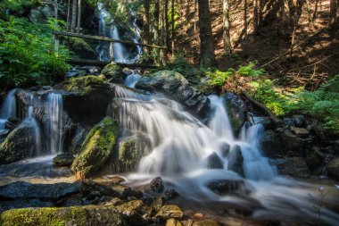 Ormanda yürürken ormanda ahşap köprüyle şelale.