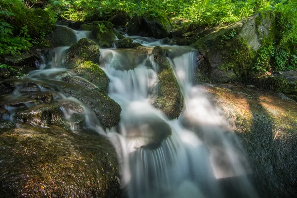 Weiches Wasser Aus Einem Bach Der Natur Einem Naturschutzgebiet — Stockfoto