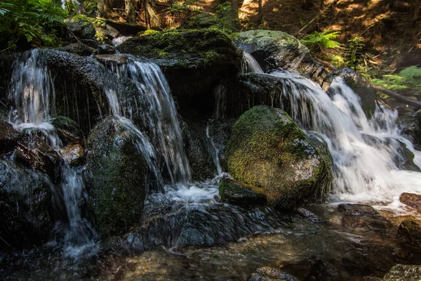 Vattenfall Skogen Medan Vandrar Sommaren Den Skuggiga Skogen — Stockfoto