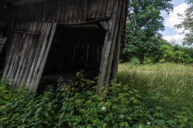Doğada arabası olan eski ahşap bir ahır.