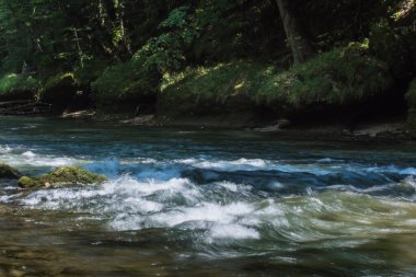 Yazın yürüyüş yaparken, ormanın yakınındaki bir derede kaynayan su.