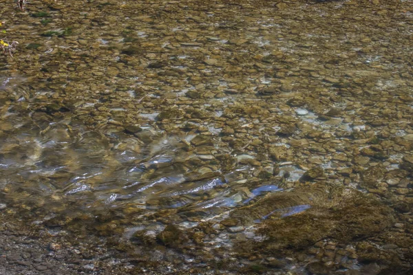 Muitas Pedras Riacho Claro Enquanto Caminhadas Verão — Fotografia de Stock