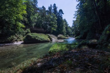 Yazın yürürken deresi olan güzel doğal manzara.