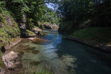 Yürürken korunan bir bölgedeki güzel doğal manzara.