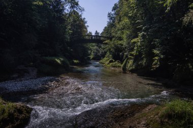 Yaz aylarında bir ormanda yürüyüş yaparken bir sel üstünde köprü.