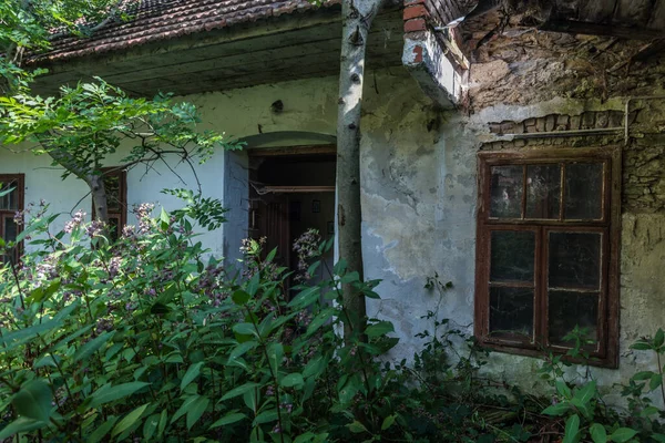 Opuszczony Zarośnięty Budynek Lesie Wysokimi Roślinami — Zdjęcie stockowe