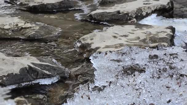 Струящийся Ручей Льдом Зимой — стоковое видео