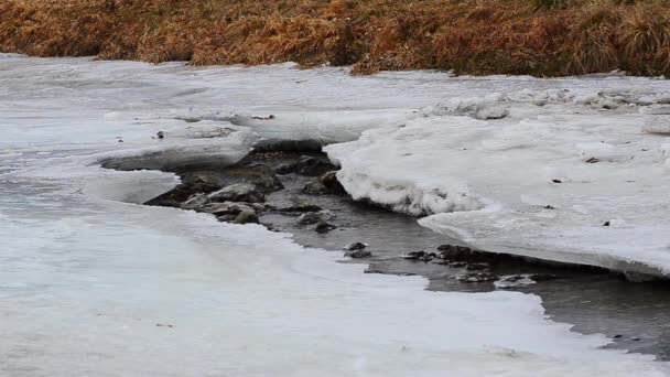 Arroyo Congelado Invierno Durante Senderismo — Vídeo de stock