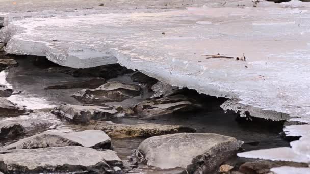 Petit Ruisseau Gelé Hiver Pendant Randonnée — Video