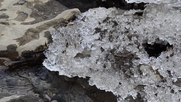 在寒冷的冬天用冰块浇水 — 图库视频影像