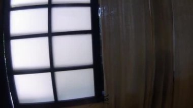 Bali 'de bir bungalovda dikilip pencereden bahçeye bakıyorum.