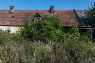 Doğada terk edilmiş ve bir sürü bitkisi olan evler.