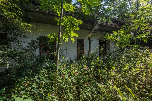 Παλιό Ακατοίκητο Κατάφυτο Σπίτι Στο Δάσος — Φωτογραφία Αρχείου