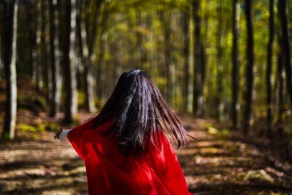 Little Red Riding Hood — Stock Photo, Image