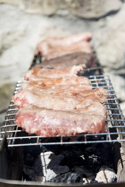 Saucisse typique des Abruzzes grillée sur le feu dans les bois en Italie — Photo