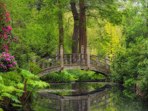 Pont au-dessus d'un étang — Photo