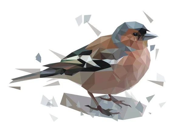 Векторная многоугольная (низкополигональная) иллюстрация животных с птицами и абстрактными объектами. Городской цветной воробей на белом изолированном — стоковый вектор