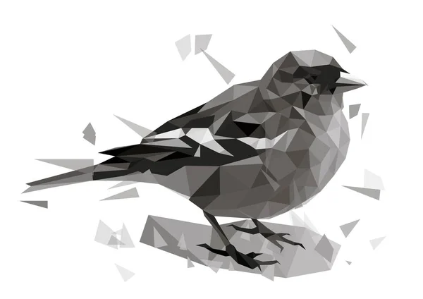 Vector polygonal (low poly) animal illustration with bird and abstract objects. Urban gray sparrow on white isolated — Stock Vector