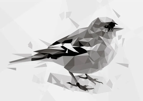 Veelhoekige (lage poly) dierlijke vectorillustratie met vogel en abstracte objecten. Stedelijke grijze Mus op grijze backgrougnd Vectorbeelden