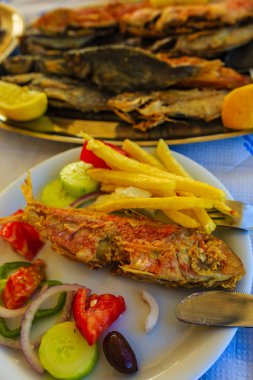 küçük kızarmış balık 