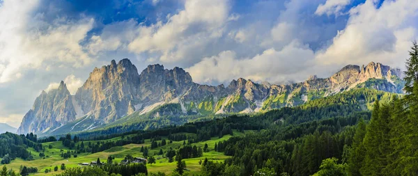 Krokusy wiosenne w Tatrach — Zdjęcie stockowe