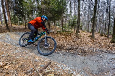 Erken ilkbaharda dağ orman l üzerinde Bisiklete binmek Mountainbiker