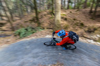 Erken ilkbaharda dağ orman l üzerinde Bisiklete binmek Mountainbiker