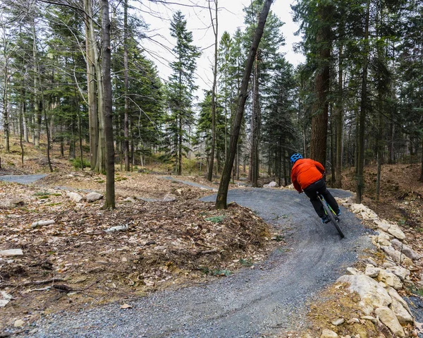 Erken ilkbaharda dağ orman l üzerinde Bisiklete binmek Mountainbiker