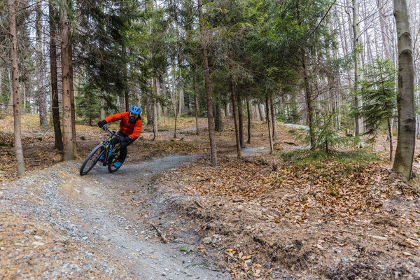Верховая езда на велосипеде в лесу ранней весны
