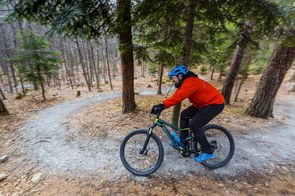 Mountain biker riding on bike in early spring mountains forest l — Stock Photo, Image