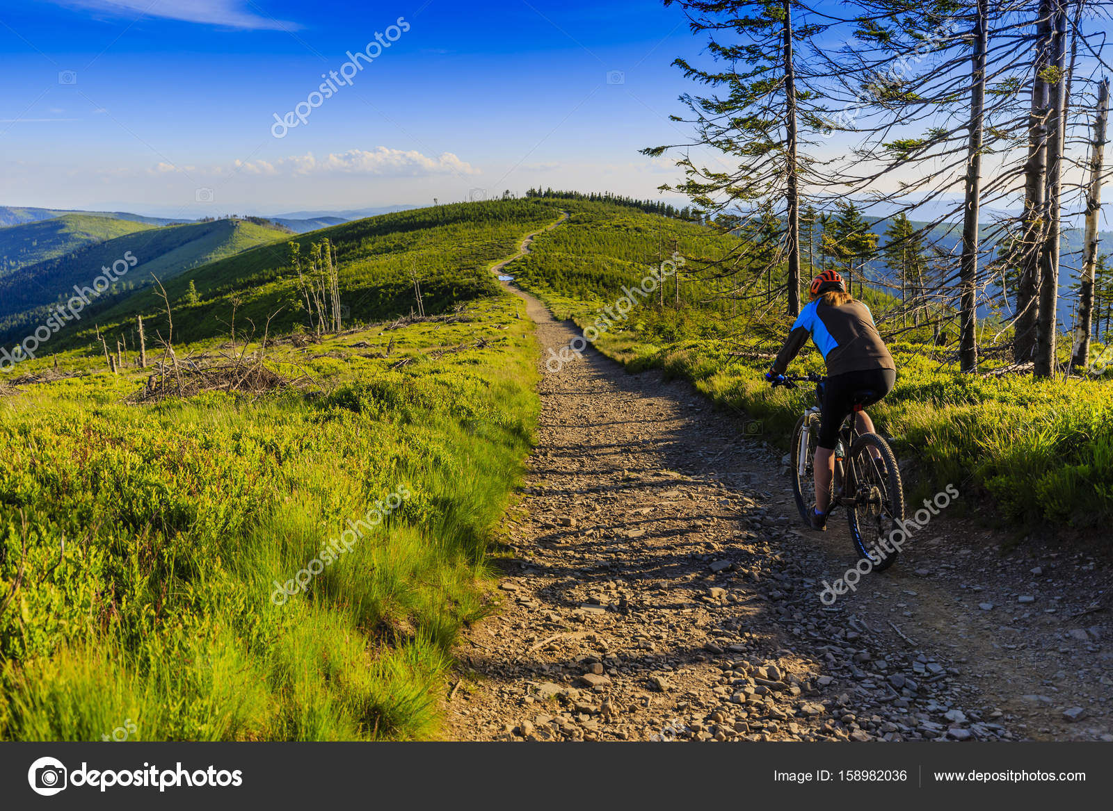 spring mountain mountain biking