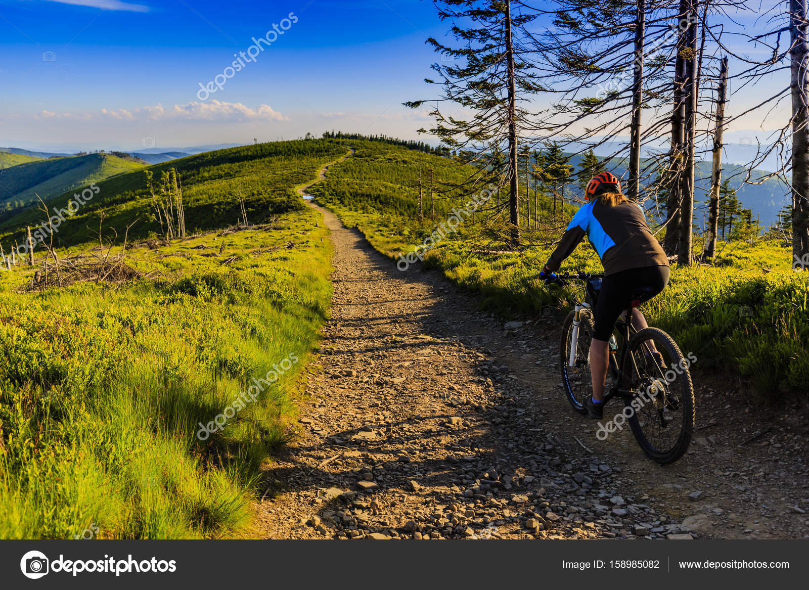 Mountain biking women riding on bike in summer mountains forest