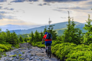 Yaz dağlar orman landsca içinde Bisiklete binmek üzerinde Mountainbiker