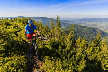 Yaz dağlar orman landsca içinde Bisiklete binmek üzerinde Mountainbiker
