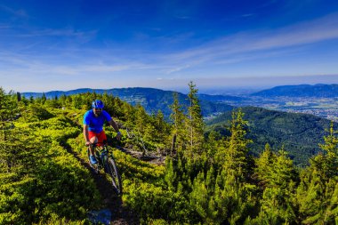 Yaz dağlar orman landsca içinde Bisiklete binmek üzerinde Mountainbiker