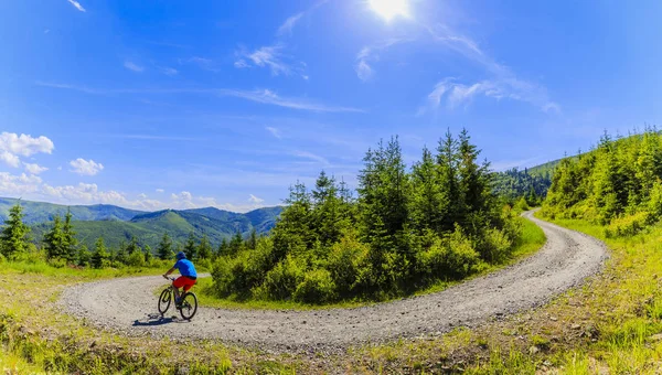 Yaz dağlar orman landsca içinde Bisiklete binmek üzerinde Mountainbiker — Stok fotoğraf