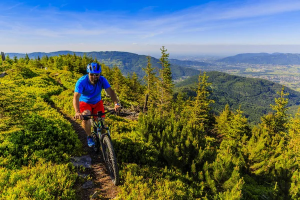 Mountain biker riding on bike in summer mountains forest landsca — Stock Photo, Image