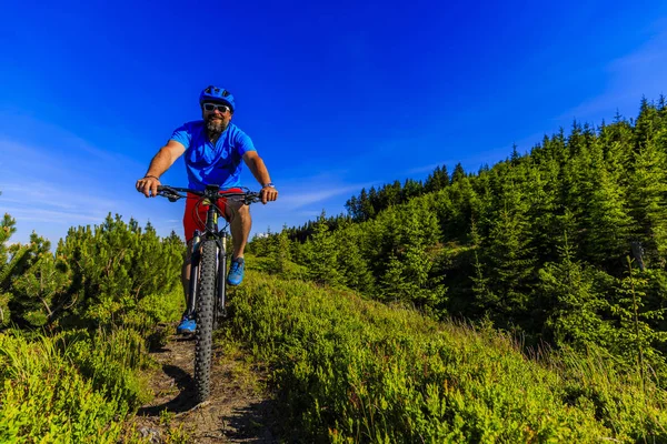 Mountain biker riding on bike in summer mountains forest landsca — Stock Photo, Image