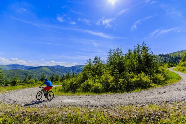 Mountain bike in bicicletta in estate montagne foresta paesaggio — Foto Stock