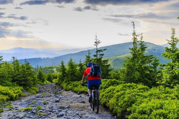夏の山の森林風景に自転車に乗って山のバイカー — ストック写真
