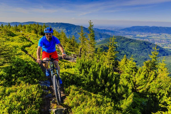 Mountain biker andar de bicicleta no verão montanhas floresta landsca — Fotografia de Stock