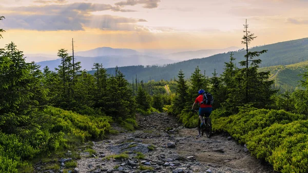 Mountain Bike kerékpár lovaglás a nyári hegyek erdei táj — Stock Fotó