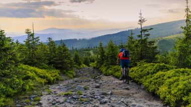 Yaz dağlar orman landsca içinde Bisiklete binmek üzerinde Mountainbiker