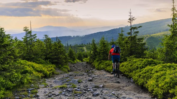 山地自行车骑自行车在夏天山区森林景观 — 图库照片