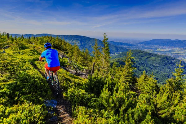 Mountainbiker rijden op de fiets in zomer bergen bos landsca — Stockfoto