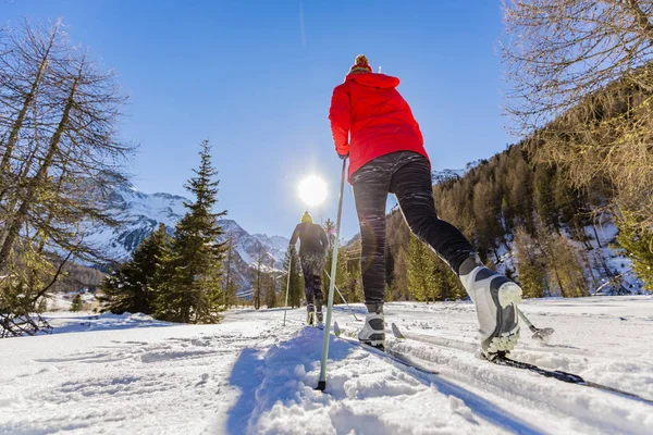 En familj grupp på cross country skidåkare på en solig vintermorgon — Stockfoto
