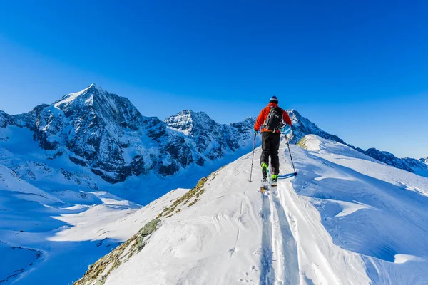 Mountaineer backcountry ski walking up along a snowy ridge with — Stock Photo, Image