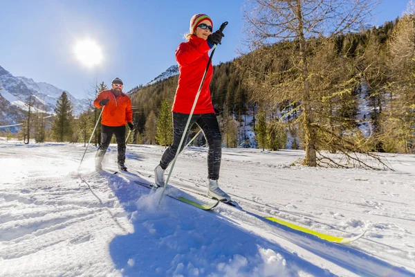 Een groep van de familie van grensoverschrijdende land skiërs op de ochtend van een zonnige winter — Stockfoto